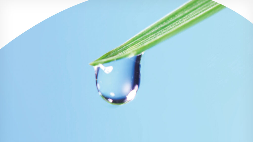 Dr. Kempe – Praxis für Frauenheilkunde, Geburtshilfe und Urologie Vorschau