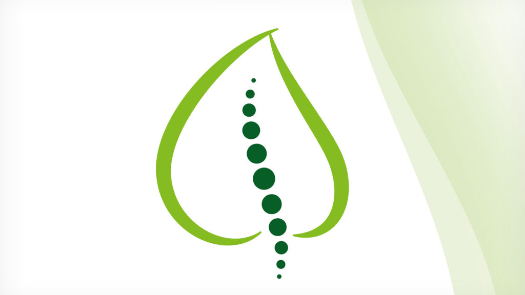 Physiotherapie Lindner Leipzig Logo Vorschaubild