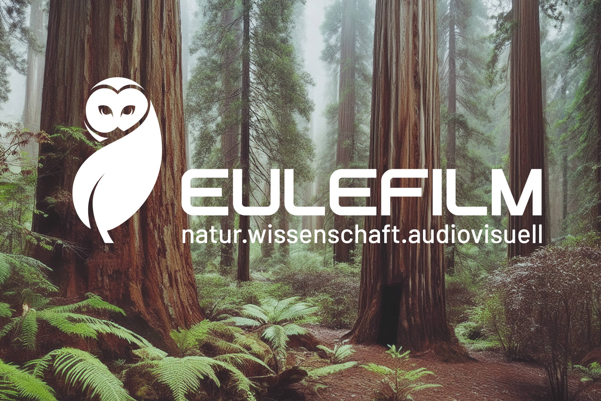 Eulefilm invers mit Waldhintergrund