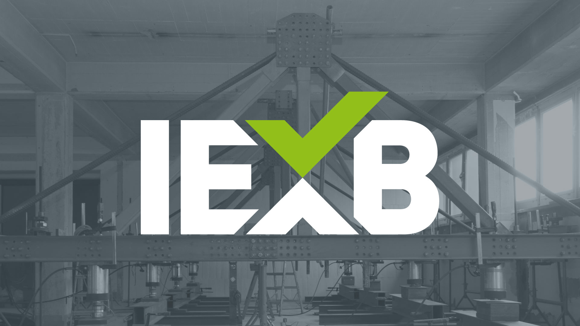 projekt-iexb-logo-invers-hintergrund-2