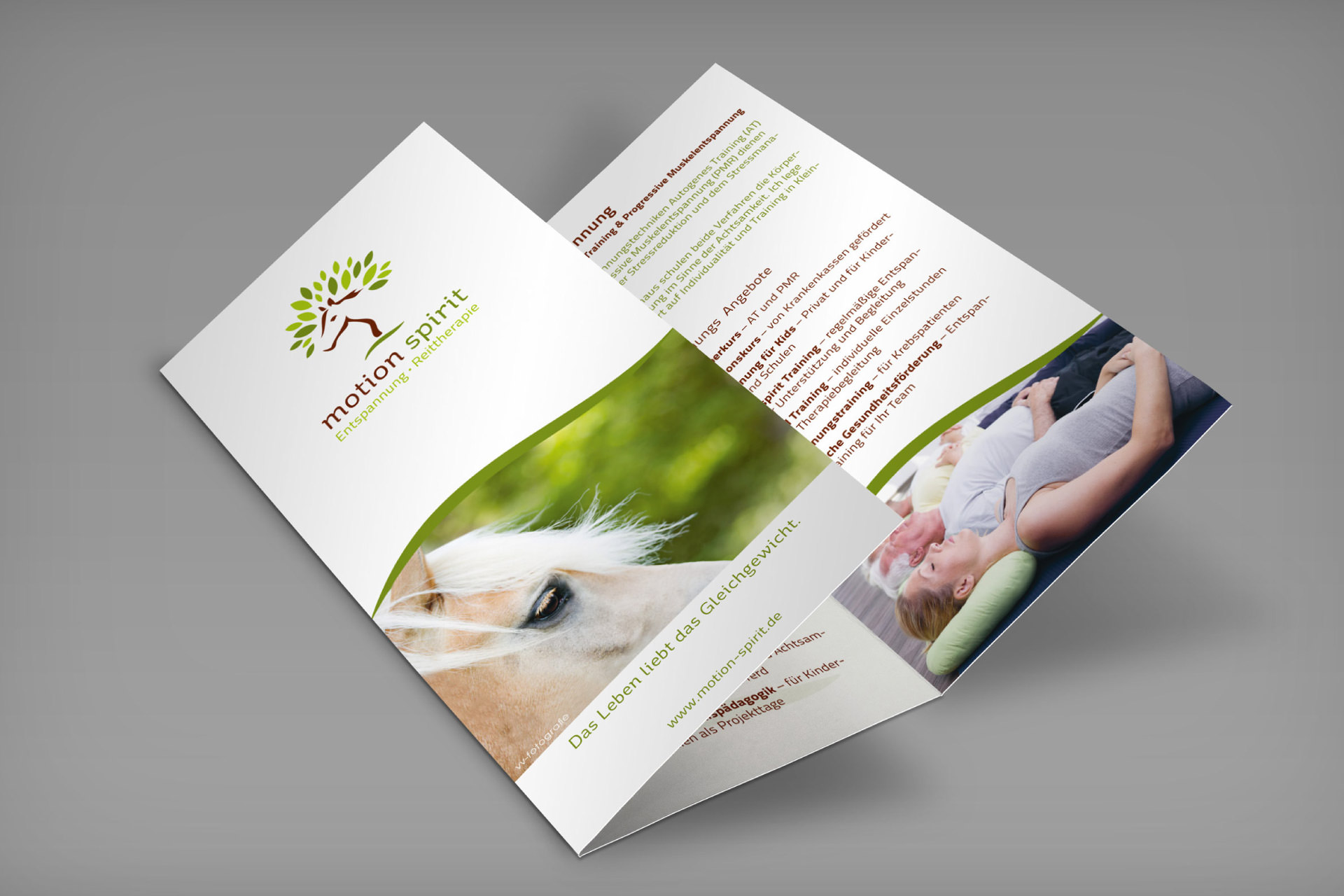 projekt-motion-spirit-flyer motion spirit Faltflyer