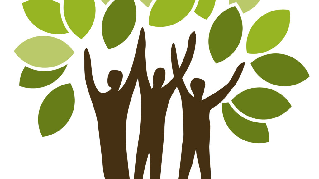 Logo Stiftung Wald Vorschau