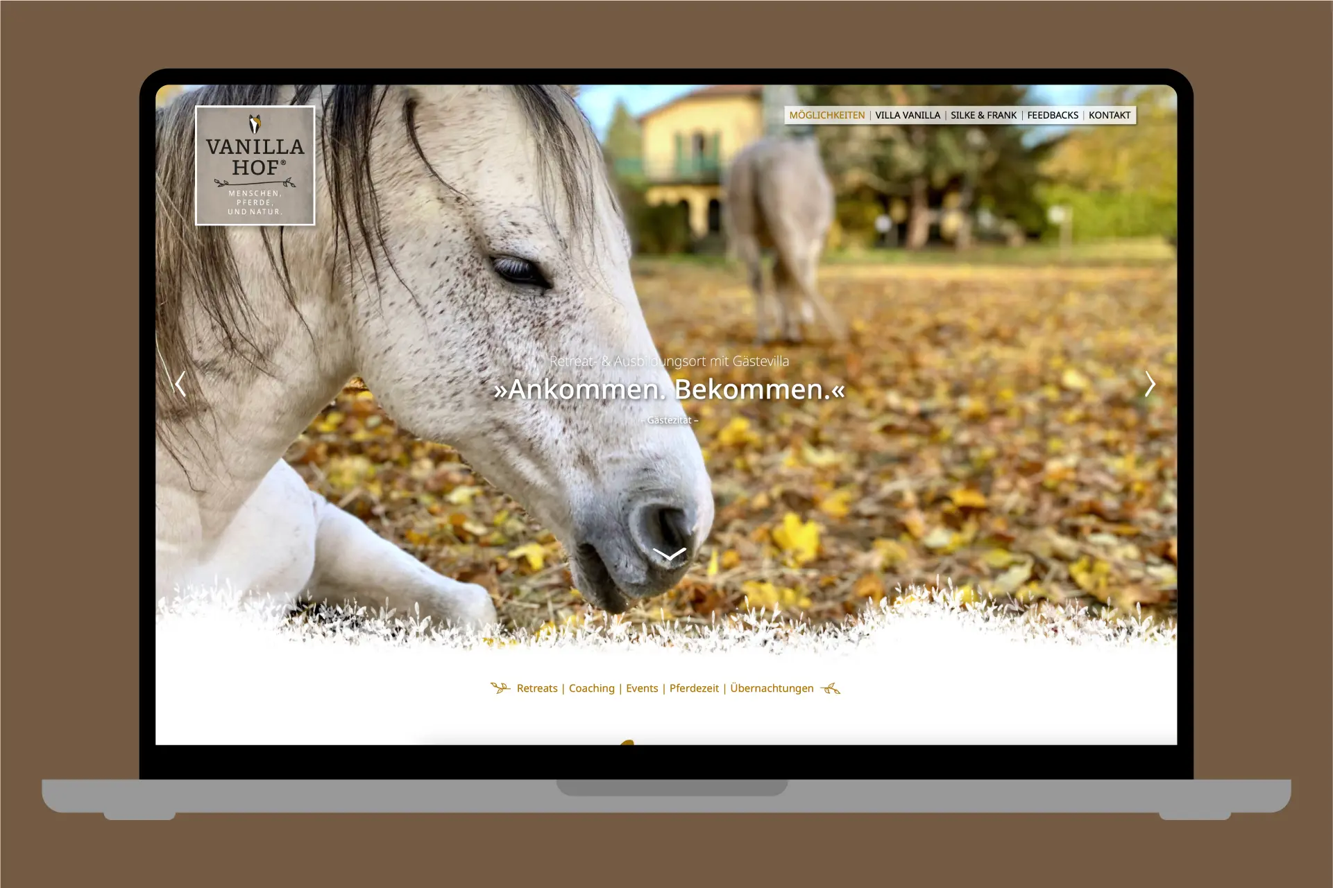 vanillahof webdesign startseite